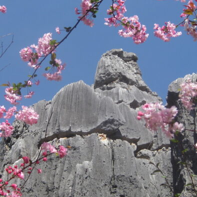 La Foresta di Pietra (石林)