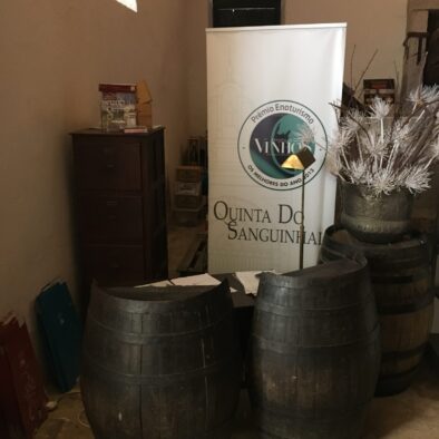 Degustazione di vini a Óbidos