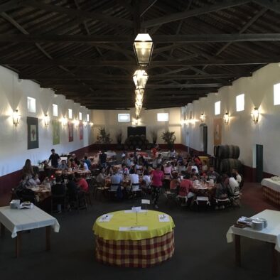 Pranzo alla cantina Quinta do Sanguinhal