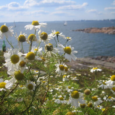 L’isola di Suomenlinna