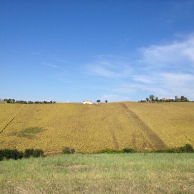 Marche countryside