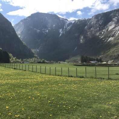 Hardangervidda National Park Center