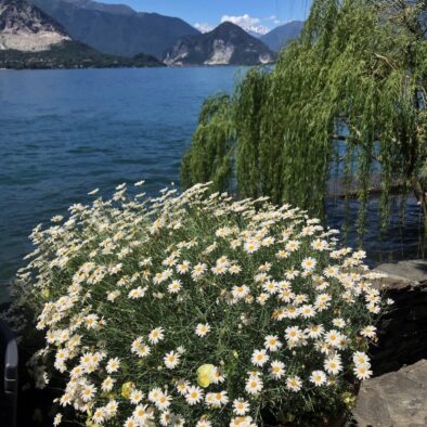 Isola Madre, the largest of the Borromean Islands of Lake Maggiore