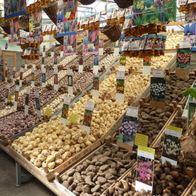 Flower Market