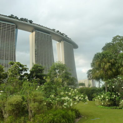 Gardens by the Bay (滨海湾花园), parco inaugurato nel 2012