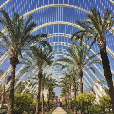 The City of Arts and Sciences in Valencia