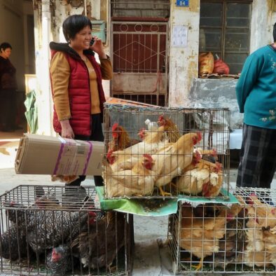 Qingping Market area