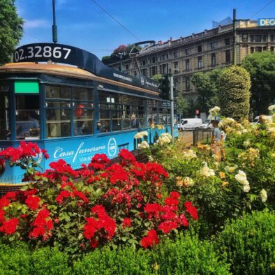 Cairoli Square