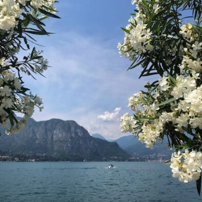 Bellagio