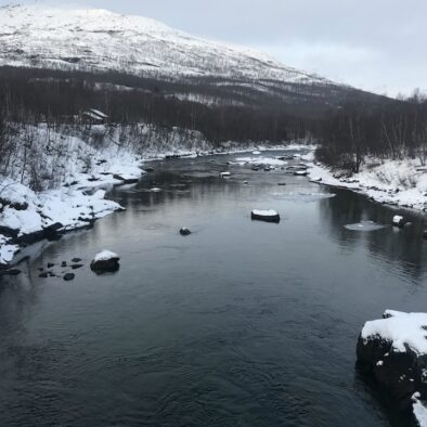 Polar Park