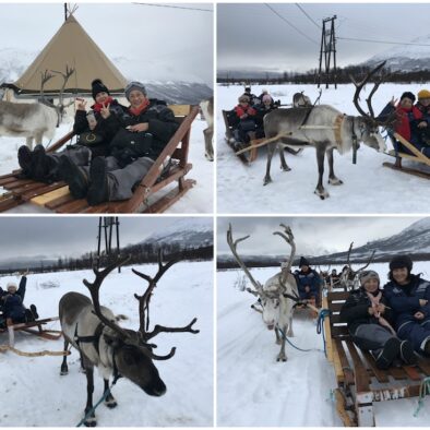 Tromso Arctic Reindeer Experience