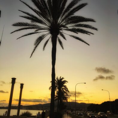 Twilight in Palma de Mallorca